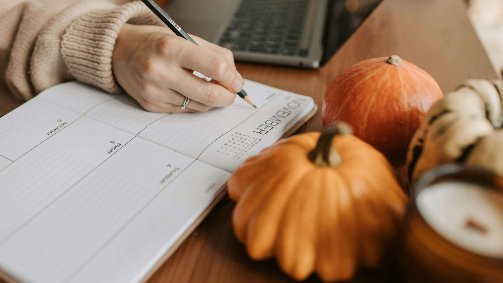 Month in Review - November 2025 Month in Review - November 2025